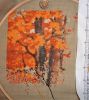 AutumnDeer4.JPG.7e13527c8d3762d3d86be305c997983f.thumb.jpg.acc85a3992745da3f00d768d30487666.jpg