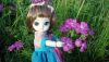 CAM01810.thumb.jpg.88e15cc7cb3fea1c2d508c60a96a5b94.jpg