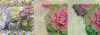 CollageMaker_20210307_071122136.thumb.jpg.5bea4787a0ff74ba459dfdf84b038463.jpg
