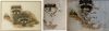 CollageMaker_20210307_074329771.thumb.jpg.6ff99ec74ee490326373bb93594f267d.jpg