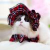 Cute-Lovely-Pet-dog-Cat-Maid-Cap-Hat-Ornament-Funny-Cat-Costume-Caps-Pet-Headwear-Headdress.thumb.jpg.b4d571d67713844baee0deaf6c0d3fd1.jpg