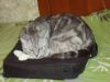 DSC03080.thumb.JPG.b370db95f1206b1cca754a88c34342b5.JPG