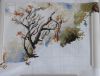 DSC07648.thumb.JPG.cb665efde59e5c086b031d6b04bd909d.JPG