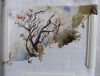 DSC07654.thumb.JPG.17a48f29f4a0beea04c09e93b86c9987.JPG
