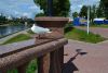 DSC_0010.thumb.jpg.bf660c9b2bdf78527f87676c0745fc12.jpg