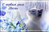 IMG-20210301-WA0001.thumb.jpg.44424be9ce44ca8fc010ea60a148364b.jpg