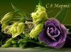 IMG-20210309-WA0000.thumb.jpg.ec5c4b91fc606cd16dcb08ed91ac369f.jpg