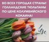 IMG-20210309-WA0003.thumb.jpg.ac816c5415a3963f960212d16244526b.jpg