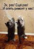 IMG-20210331-WA0033.thumb.jpg.2d1d08c7f9fbef87fd2c4fdb18e9261f.jpg