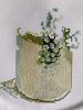 IMG20210301144613.thumb.jpg.28ea2da2ad5aa5aafbf7b51573ceedf8.jpg