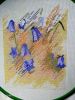 IMG20210313171444.thumb.jpg.04cce92ecfc1b3e7b5a0928c68cb758c.jpg