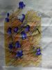 IMG20210327092831.thumb.jpg.cd33c58855d764de53a09ab52d2682ad.jpg