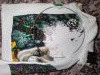 IMG_20201030_002535.thumb.jpg.ea00dade33998891a084011feda1aabc.jpg?1615740509923