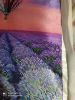 IMG_20210216_024014_compress37.thumb.jpg.5c6be7ca6d8ed7dcbadbe786c2bfb2c8.jpg