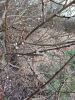 IMG_20210221_175948.thumb.jpg.a86cf81c57053a283c4db32d1bd83718.jpg