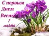 IMG_20210301_160759.thumb.jpg.22d5d2deef17f285140ea96f10895824.jpg