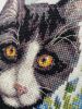IMG_20210302_005548.thumb.jpg.0e27baf50ba26191dc2abab6a4c8eb4b.jpg