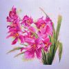 IMG_20210302_160815.thumb.jpg.42fc633364d182bcc0ee2cf95c6d9098.jpg