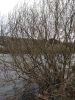 IMG_20210306_163923.thumb.jpg.c3b7f27666a9db18ed806a4bdceaea39.jpg