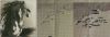 IMG_20210307_073735.thumb.jpg.55594a3646f503116bba78bb1d8f44e7.jpg