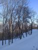 IMG_20210309_134126.thumb.jpg.68eda79b3453a222ce41ff4fbdb75210.jpg