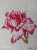 IMG_20210312_142132_compress12.thumb.jpg.29d33907ecd2af117edb6df0aaaa27e3.jpg