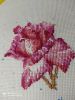 IMG_20210313_001605_compress66.thumb.jpg.7ac8b40775cc6dcf8f841971b7721375.jpg