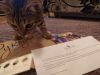 IMG_20210313_201641.thumb.jpg.908ef2bb72d3e70f016dec14eb3c76c1.jpg