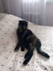 IMG_20210314_123631.thumb.jpg.7ff3deebccb0462e97b51cb108f2d44c.jpg