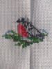 IMG_20210314_205317.thumb.jpg.9ac8e7214a2234a334aa7e8d6c246721.jpg