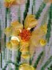 IMG_20210316_174427.thumb.jpg.fc14db0b59cbccb50eed8b960d6f33cd.jpg?1616363325911