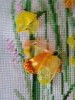 IMG_20210316_174503.thumb.jpg.d8c17aa750f9a69927256cfd910812e9.jpg?1616363293124