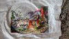 IMG_20210321_110842.thumb.jpg.2ba696e5257a8168ffcdcd2963d78089.jpg?1617003650516