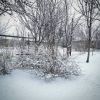 IMG_20210323_093933_470.thumb.jpg.86c7ee1a614adc5c5bf4d6ee6312a0b8.jpg