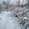 IMG_20210323_093933_552.thumb.jpg.1e43fec58b06c11ee6caee8878aafbaa.jpg