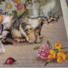 IMG_20210324_120741.thumb.jpg.90e2ae6e8cd812d76184864eb509d16e.jpg