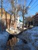 IMG_20210324_142325.thumb.jpg.fedb96158c3b67d1e65128547d118c21.jpg