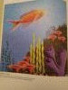 IMG_20210329_200610.thumb.jpg.7c2c9f5085ba9e156d0f18ad507bf844.jpg?1617042087563