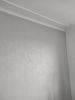 IMG_20210330_111641.thumb.jpg.e3db3741f0ea66b5aff259449d395d0b.jpg