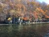IMG_5393.thumb.JPG.b495cc888186838ae6e9ca5838783392.JPG