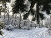 IMG_6993.thumb.JPG.1c201628e2c8fa742bbe12f04e871943.JPG
