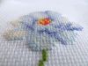 IMG_8264.thumb.jpg.39396bfad0591c2e4bce4ac3e096afd5.jpg