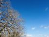 IMG_E7994.thumb.JPG.534f84a74801a7679e2f4eafcb1ea85c.JPG