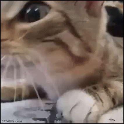 Oykg.thumb.gif.c1fbdbac3d2209171166373dd7ec57ce.gif