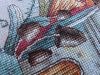 P1020187.thumb.JPG.594a2e84a7e656ea82602d15ffe94d35.JPG