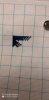 S10305-235532.png.0c8f82b89f9ca7bd6c03751435e70341.thumb.png.a8d3e39531bf828c325005b730b7ce2a.png