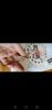 Screenshot_20210228_172342_com.huawei.himovie.overseas.jpg