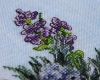_IMG_4519.thumb.jpg.a7bb7c14be64bd208cc480a85ca6a7a9.jpg