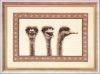 strausy_oehlenschlager_73_99508.thumb.jpg.b6e0f9cc934ff2d9cb0ed6618fc0f122.jpg