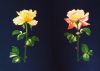 twoLights.thumb.jpg.93d40722fc115ba0ffefffce2ef0b27c.jpg
